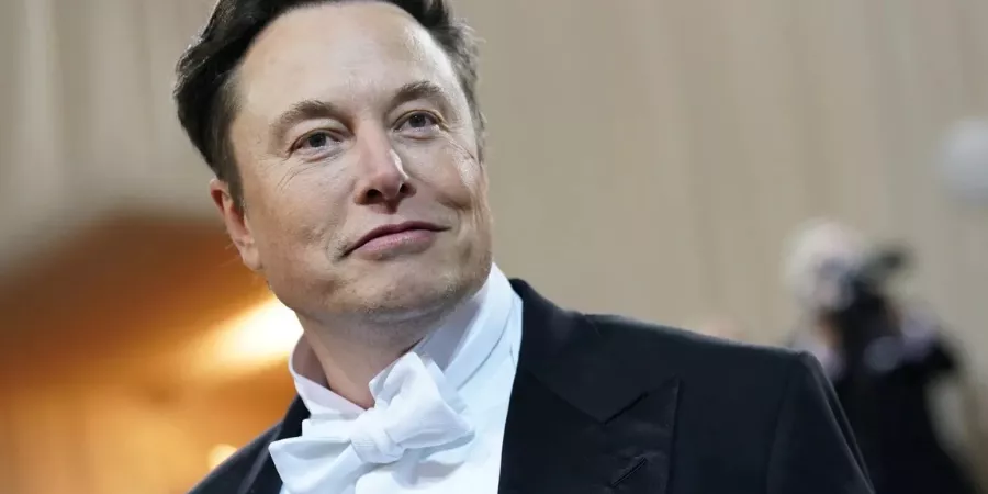 Elon Musk children