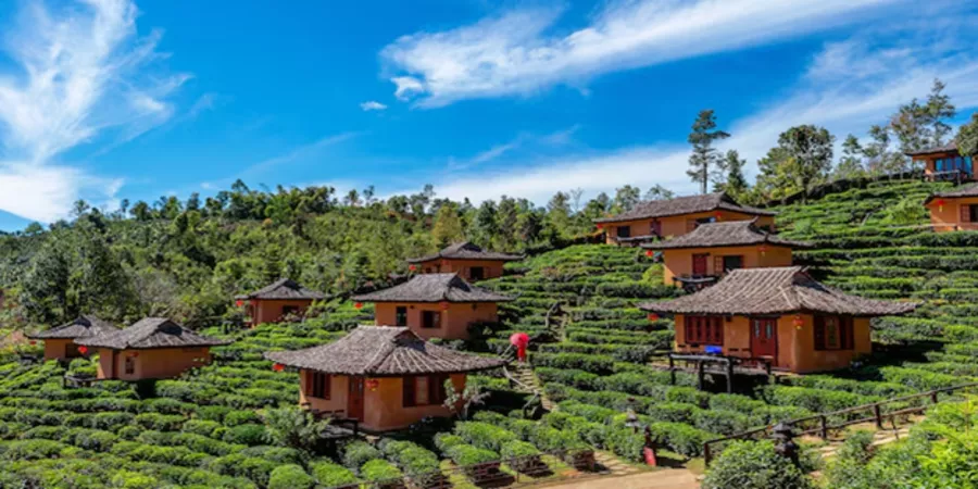 Ooty vs Kodaikanal for family trip